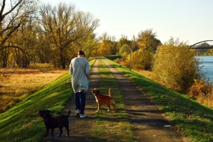 Hund spaziergang