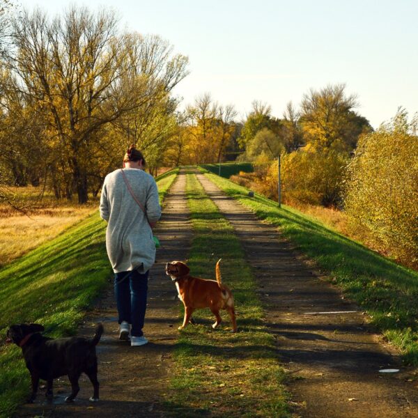 Hund spaziergang