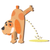 Mein Hund macht Pipi vor Freude Was kann ich tun? » DOG FIT by PreThis®
