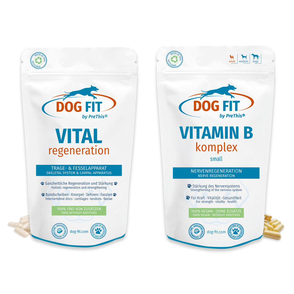 DOG FIT by PreThis VITAL regeneration and VITAMIN B
