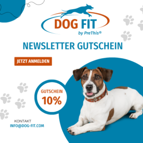 DOG FIT Newsletter Gutschein