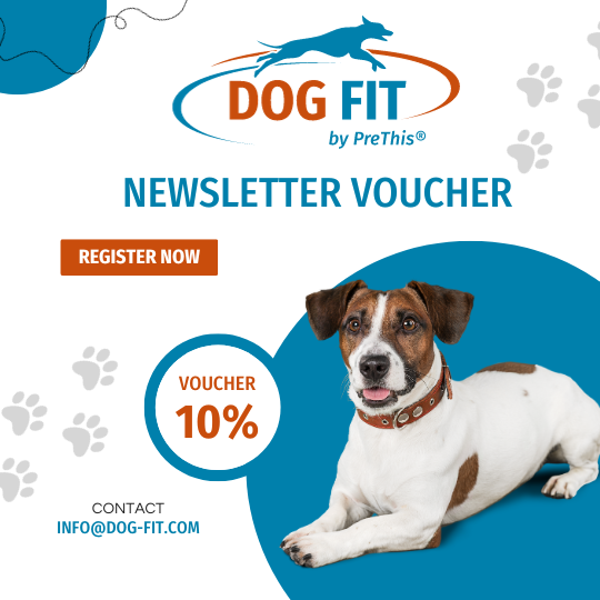 dog-fit-newsletter