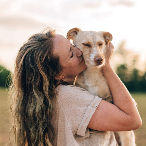 Hornhautulkus bei Hunden