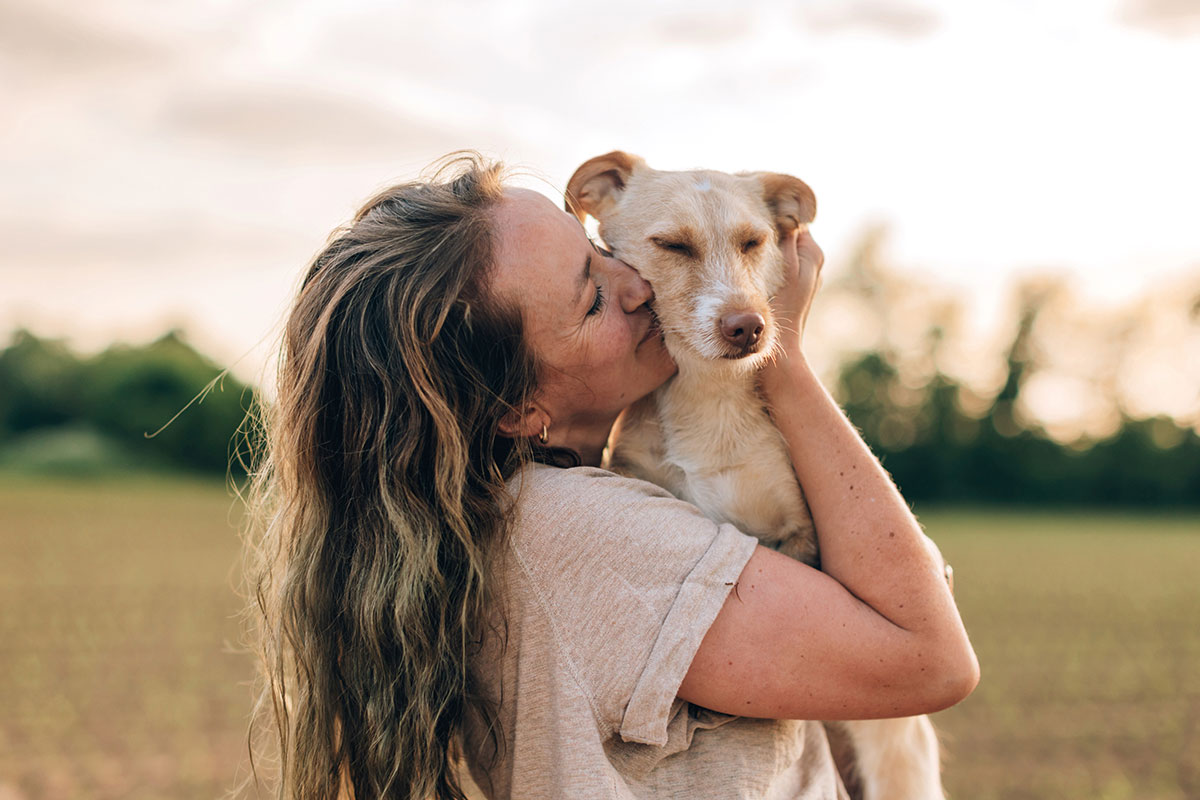 Hornhautulkus bei Hunden