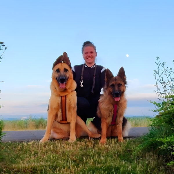 Angelique Günther - Mobile Praxis für Tierheilkunde, Physiotherapie und Osteopathie für Hunde