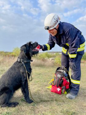 Julia Welz orthopaedic and rehabilitation aids for animals